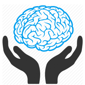 human brain 6j8