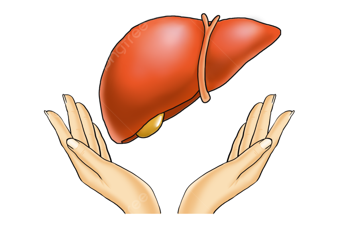 liver care